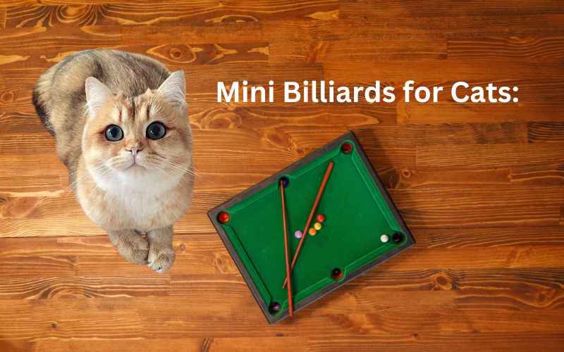 Mini Billiards for Cats